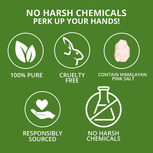 Liquid Hand Wash, Tea Tree & Rosemary - 16.9 fl oz | WBM CARE